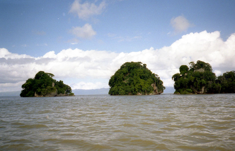 Ile1
