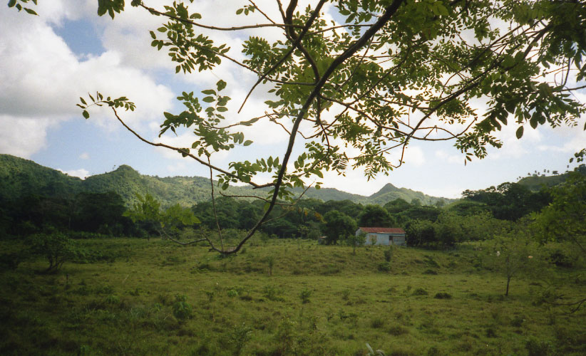 MaisonBleue