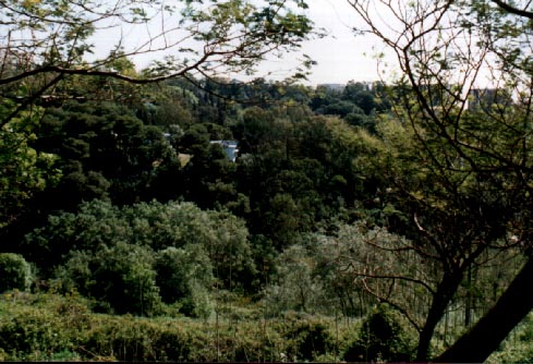 B06