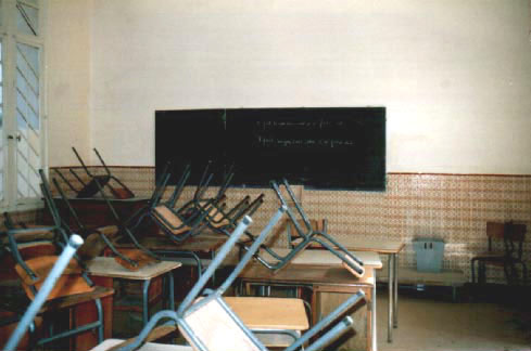 B11